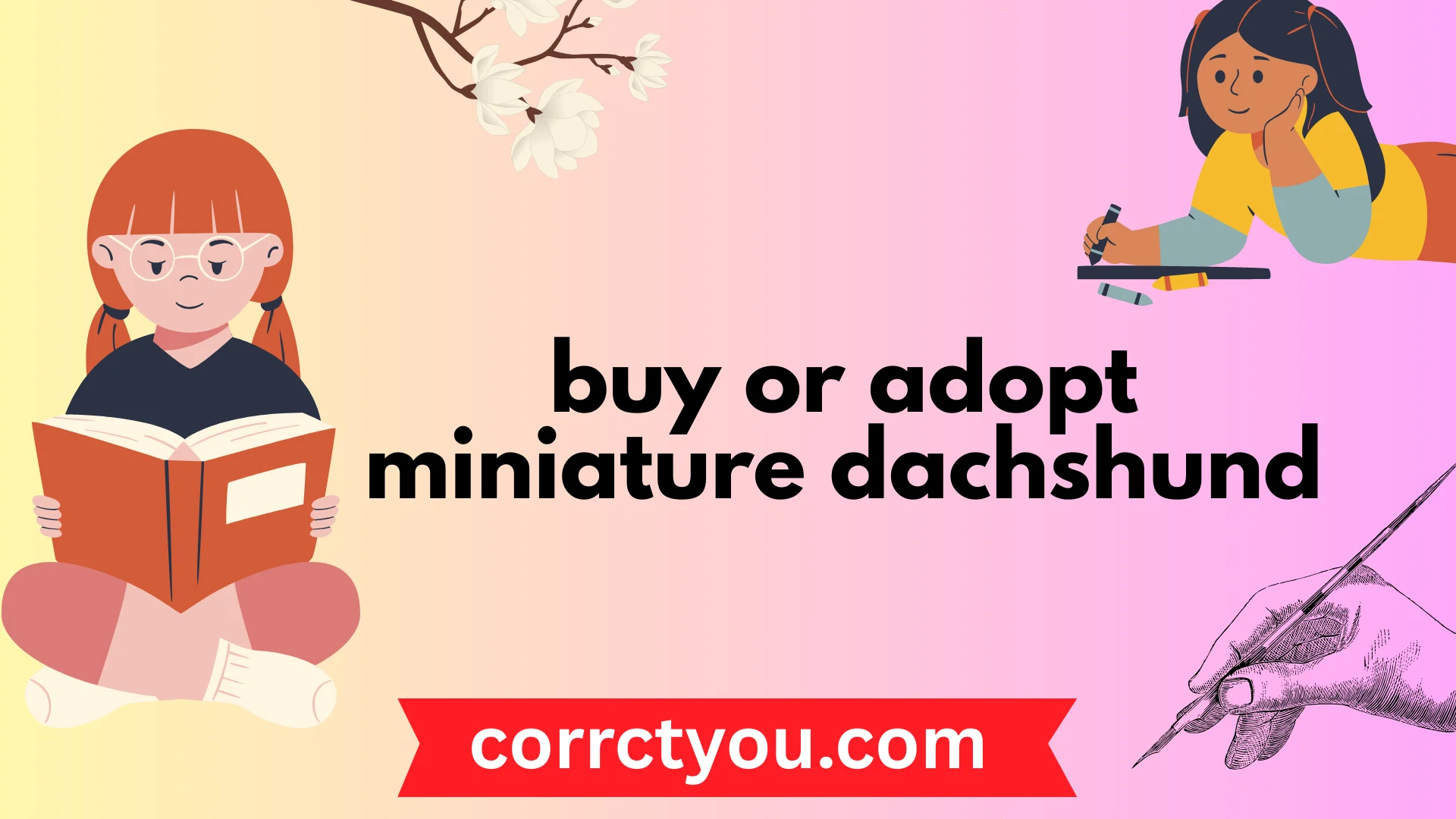buy or adopt miniature dachshund