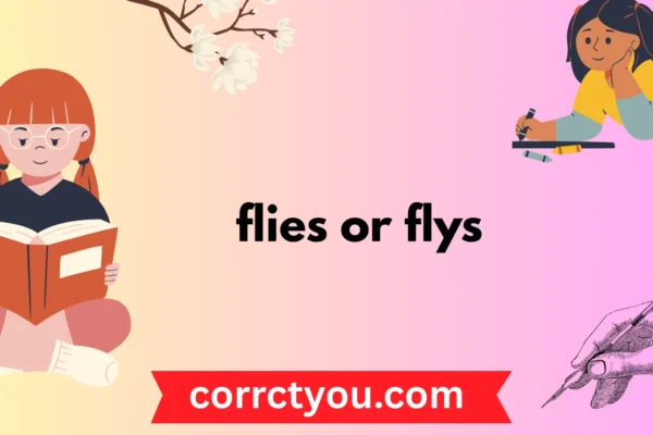 flies or flys
